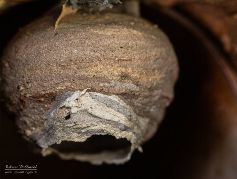 MG_7291-2