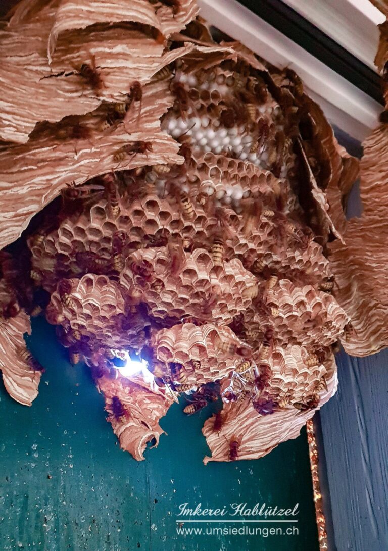 20180816_144224