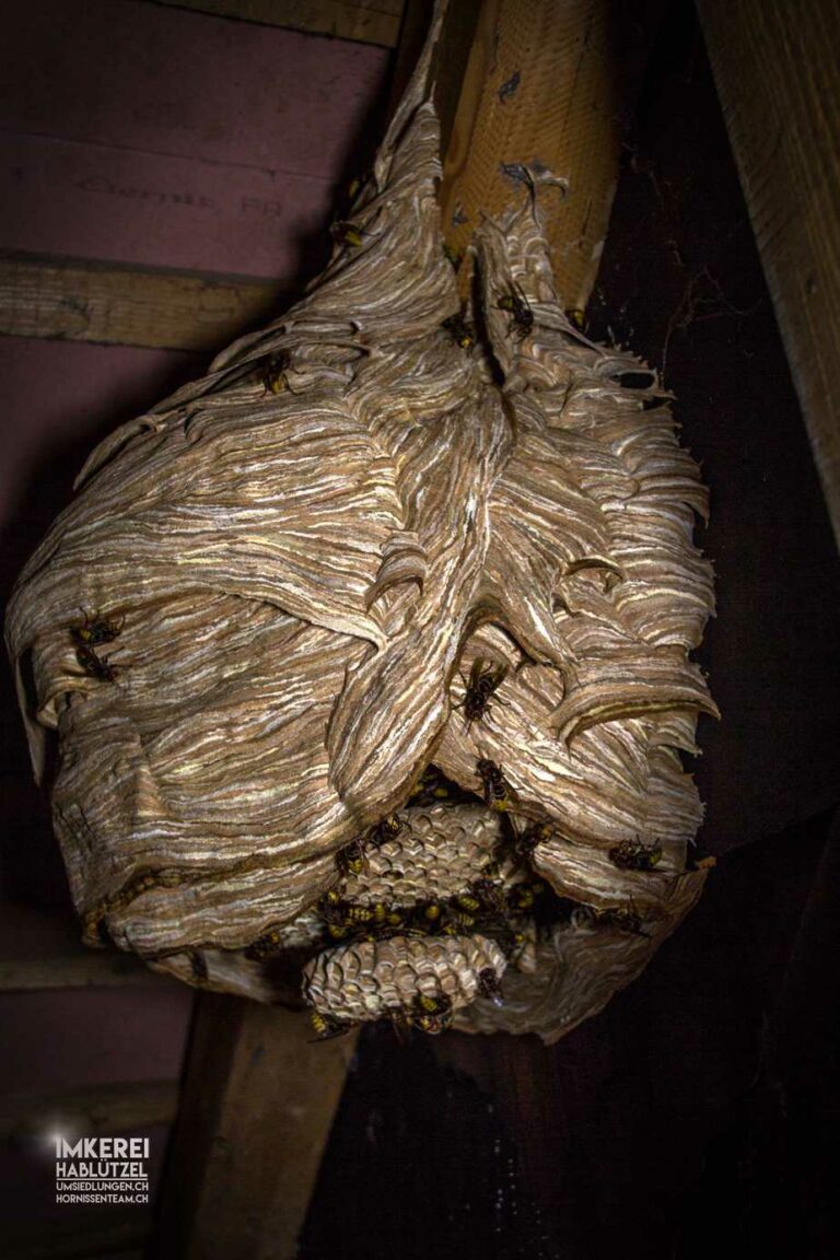 1_1