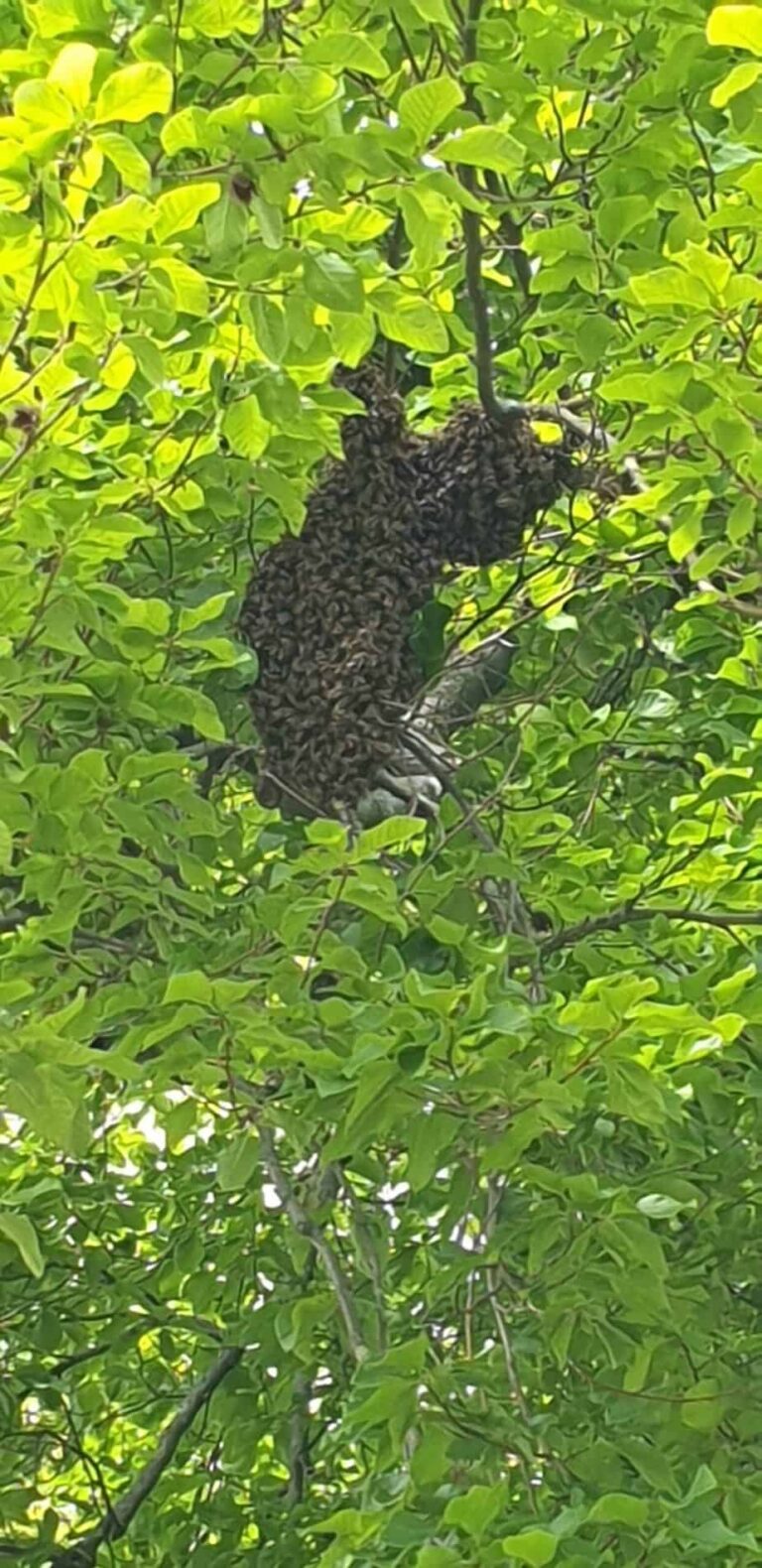 20190517_160354-rotated