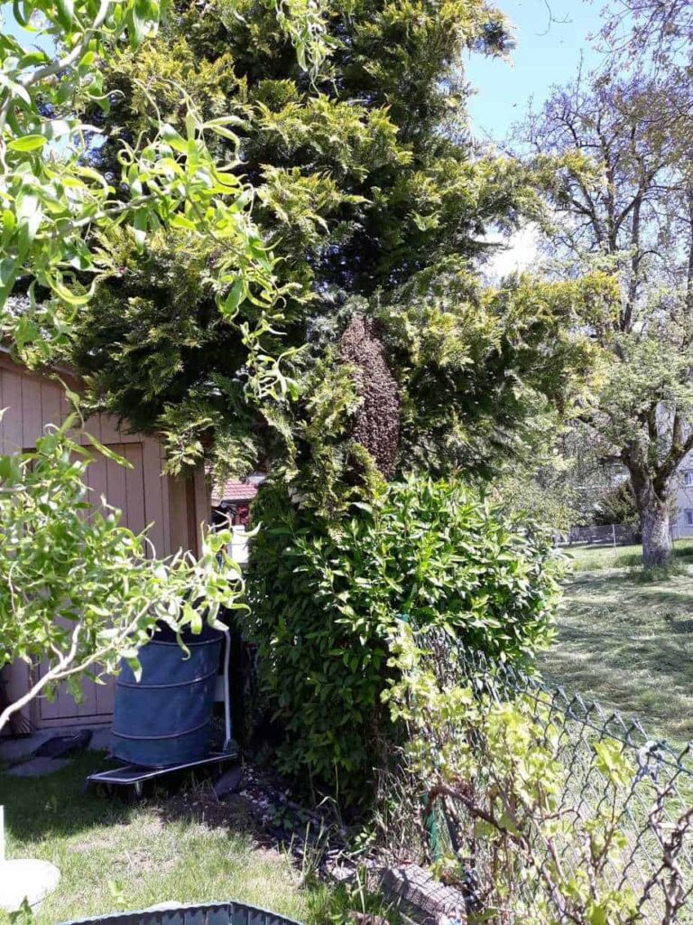 IMG-20190514-WA0008