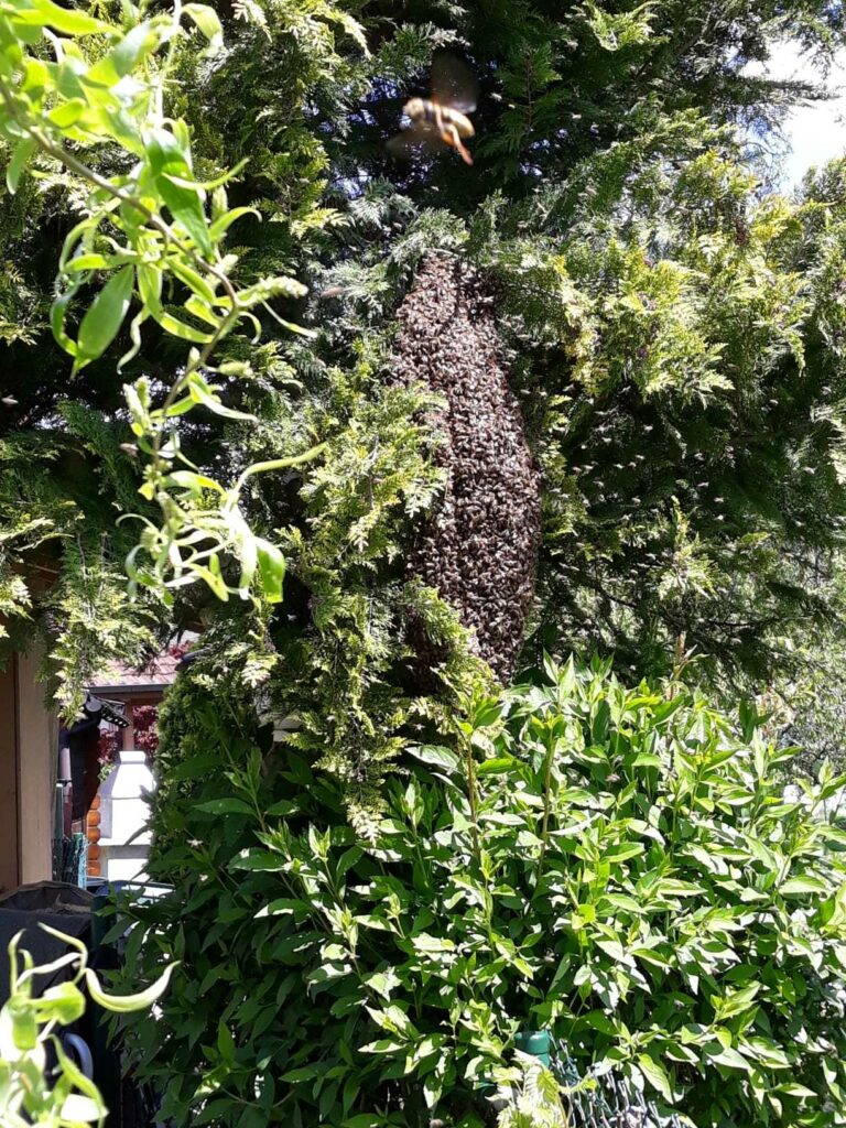 IMG-20190514-WA0009