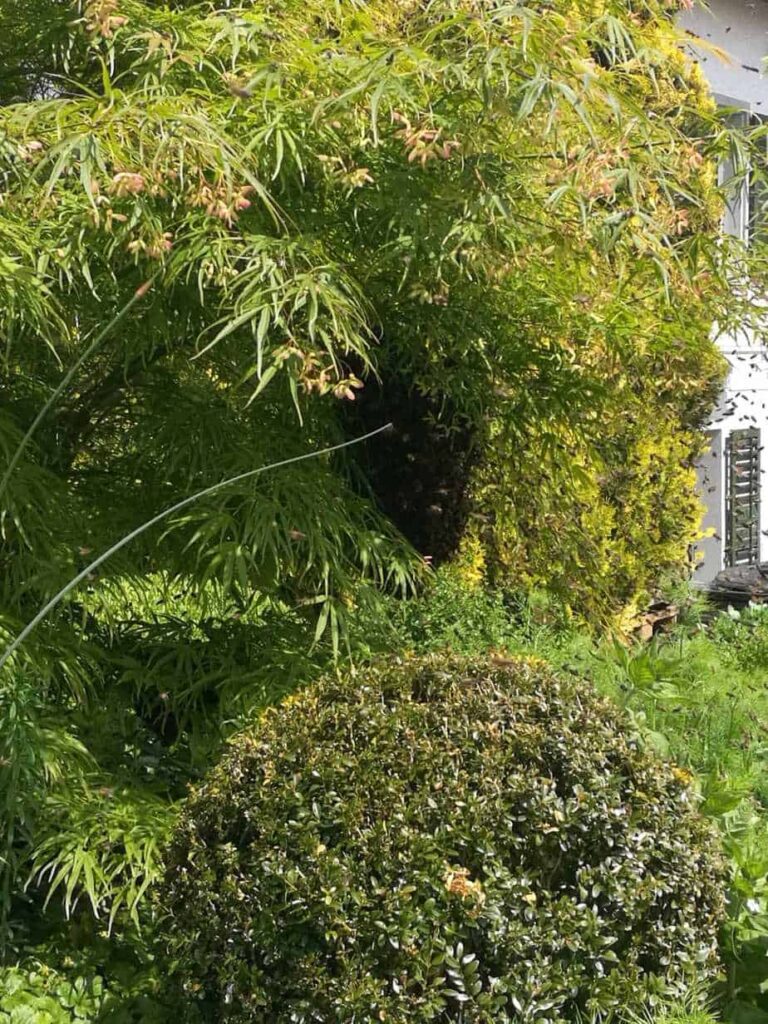 IMG-20190524-WA0022