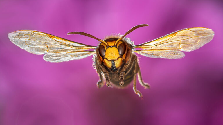 Img34548-1fertig_k