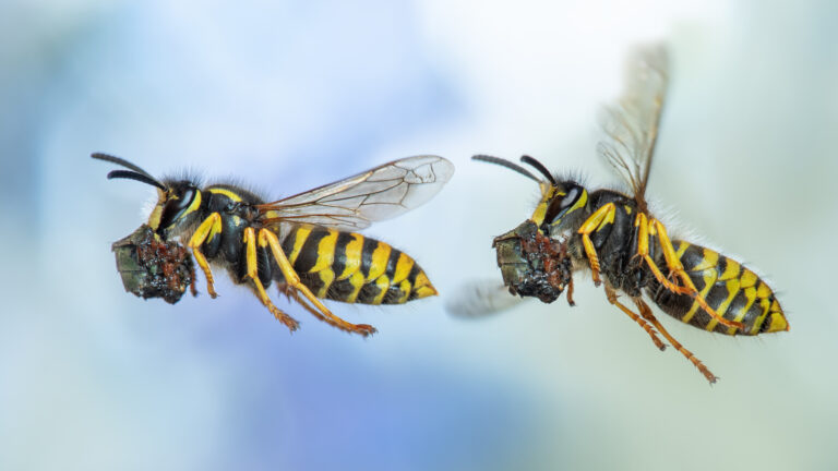 Img48472-1doppelt