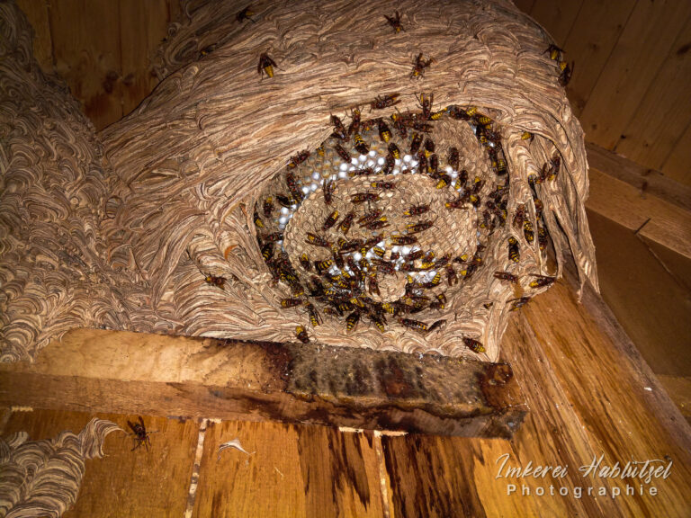 IMG_20220927_140743w