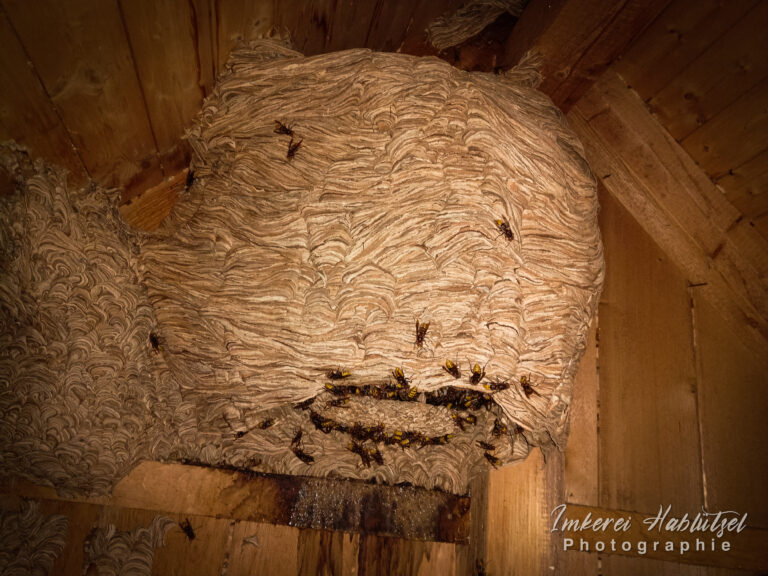 IMG_20220927_140755w