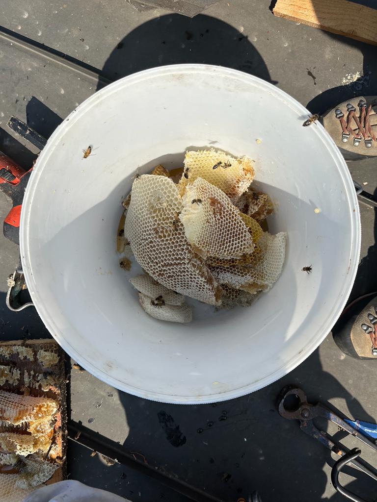 IMG-20230616-WA0103