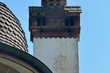 honigbienen im kamin