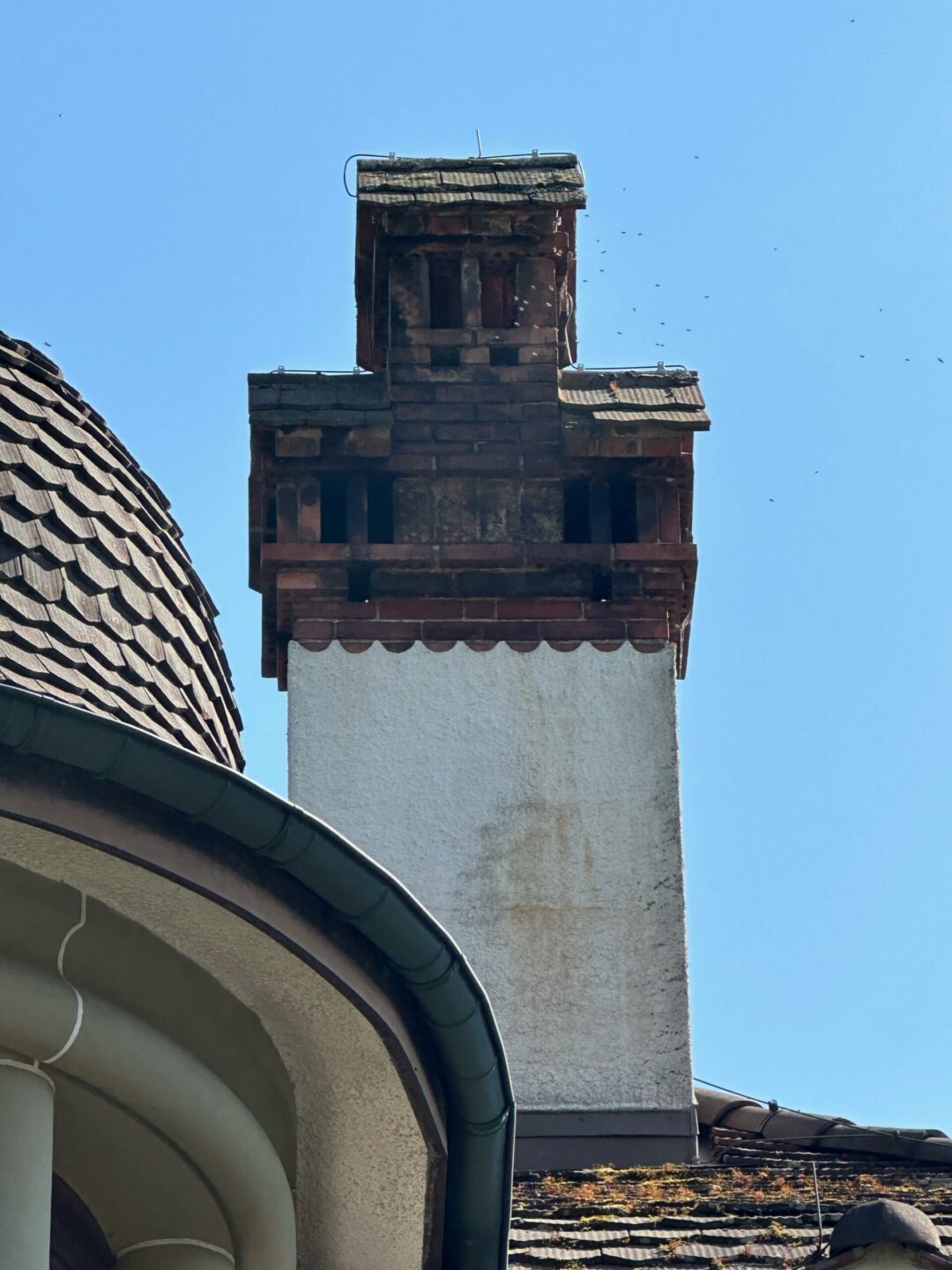 honigbienen im kamin