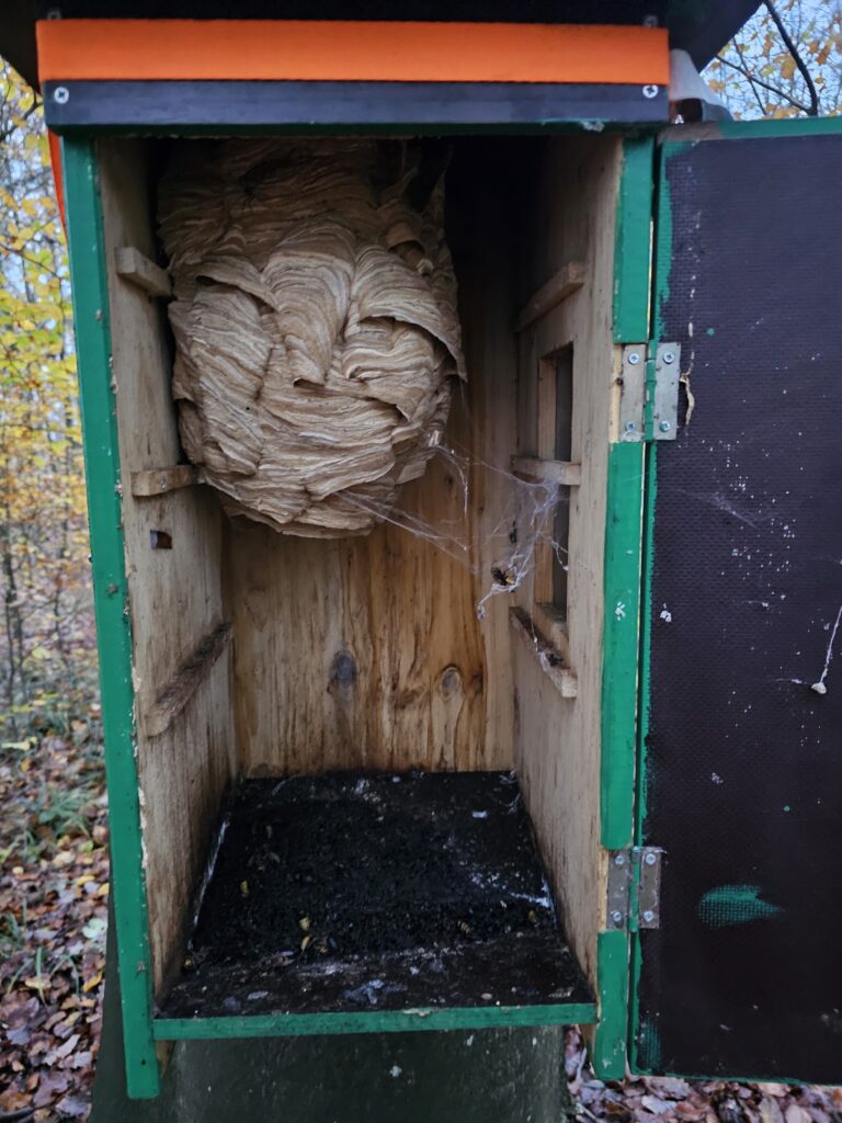 20231118_164538