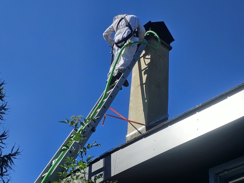 Honigbienen im Kamin