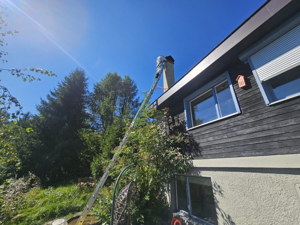 Honigbienen im Kamin