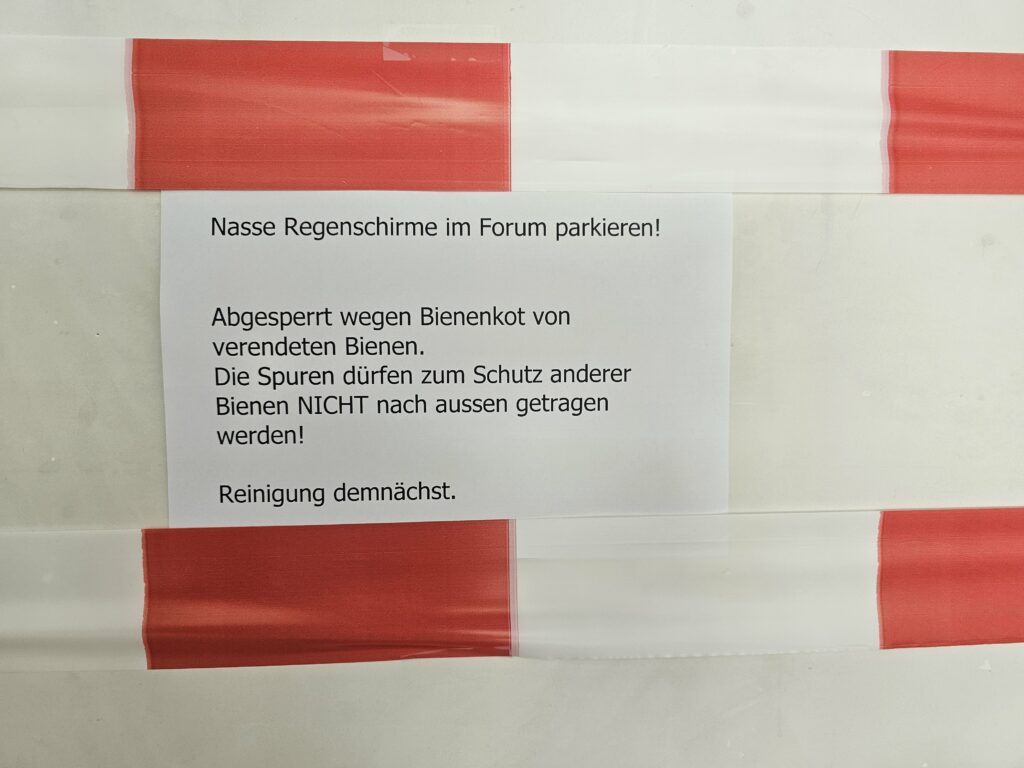Massnahmen des Kunden