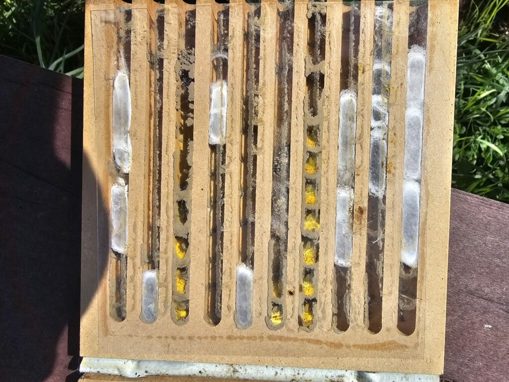 a close up of a bee hive