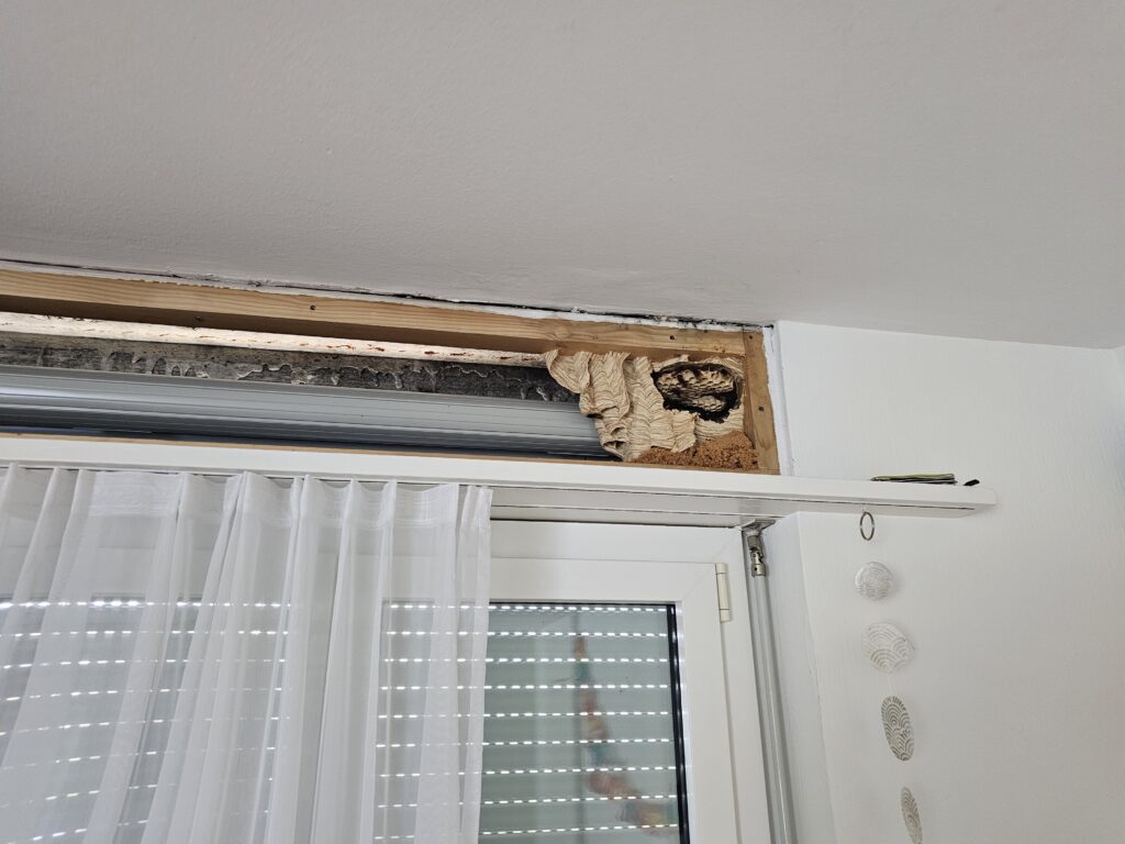 a window with a hole in the wall Wespennest