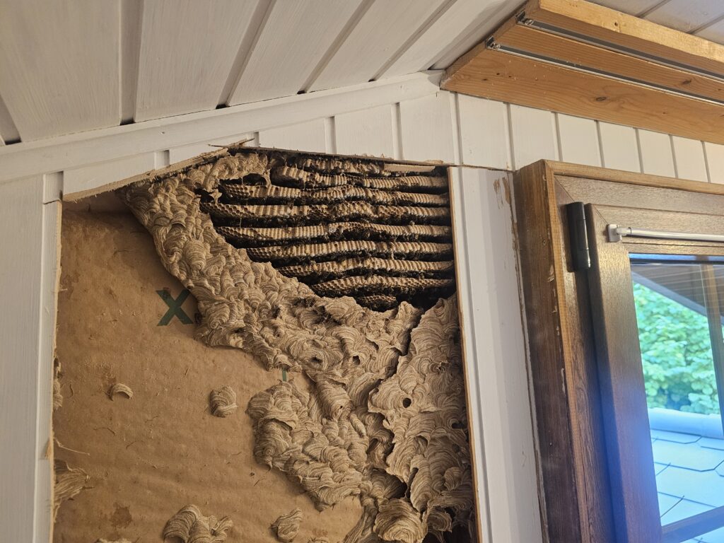 a hole in a wall
