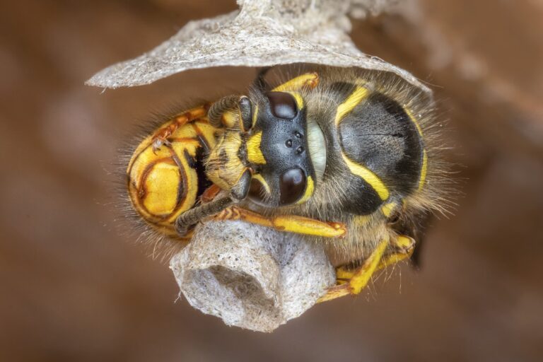 DSC_7930-4b