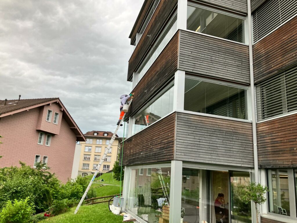 Bienen, Fall 536