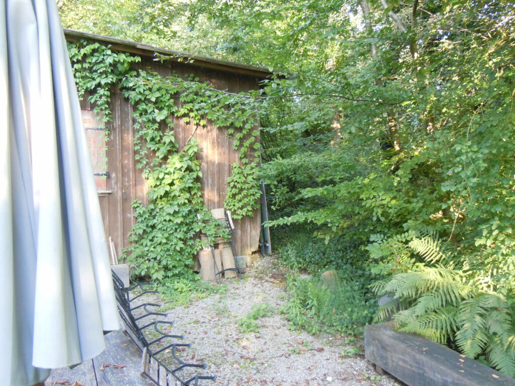 Schutz
