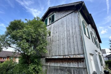 Bienen, Fall 539