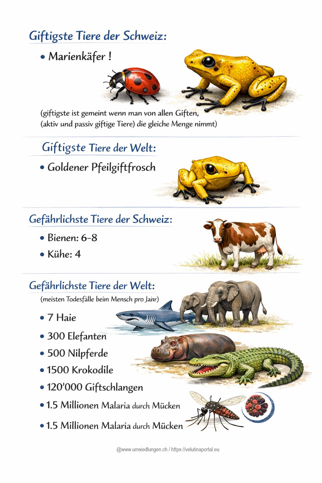 giftigste tiere