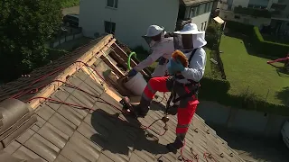 a group of people wearing white helmets and standing on a roof