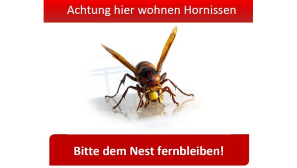 Vorlage Hornissen Achtung hier wohnen wir