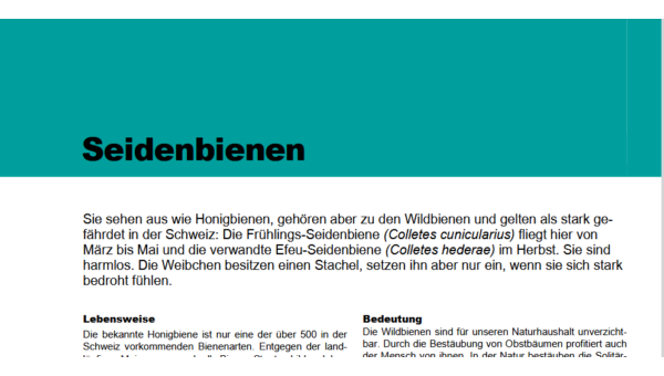 Seidebienen Merkblatt